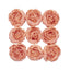 10-Pack Artificial Peony Flower Heads Peach - Versatile Faux Craft Flowers for DIY Event Styling Scrapbooking & Floral Arrangements 3"