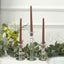 12-Pack Taper Candles Premium Wax Design Mocha Brown - Unscented Candles for Upscale Settings 10"