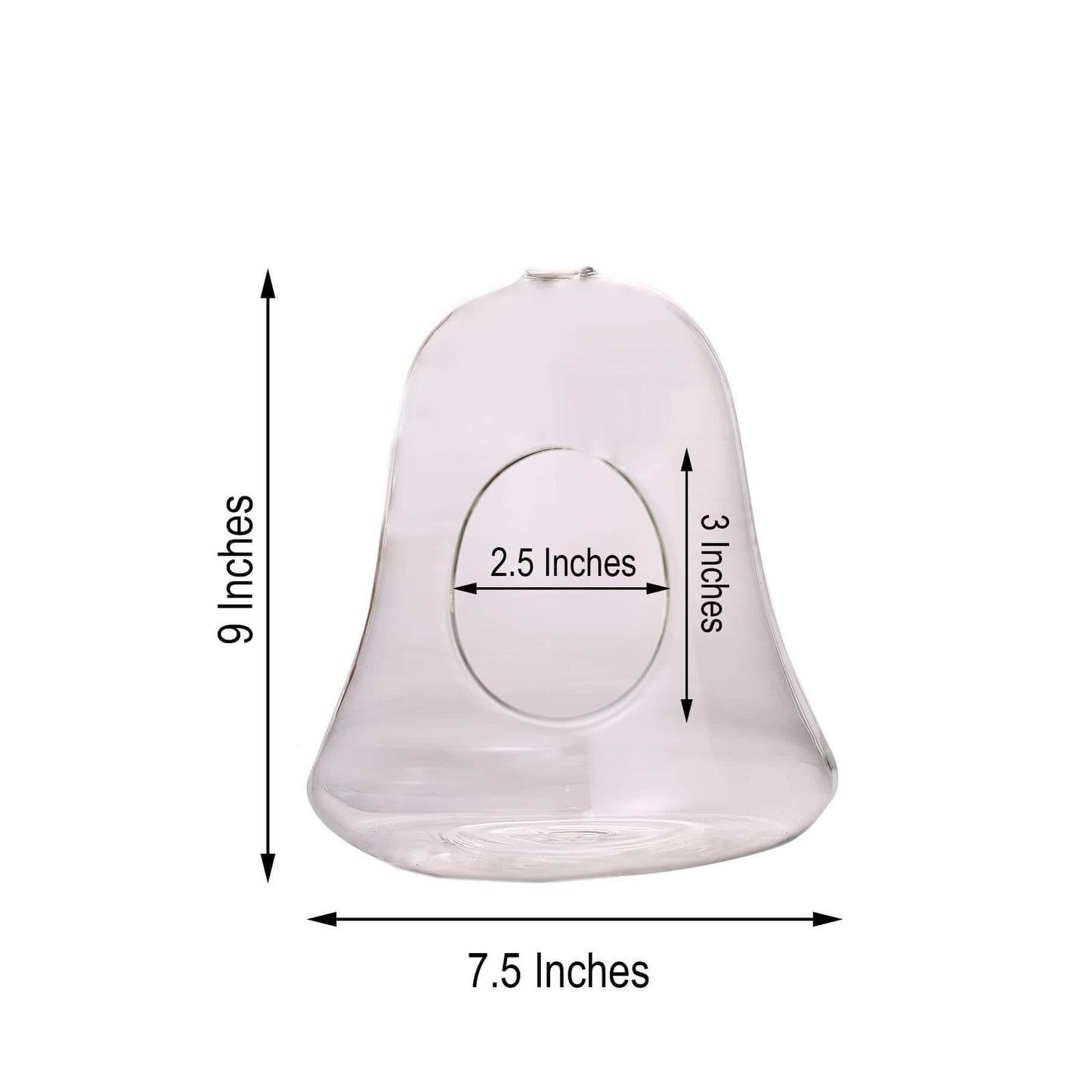 Glass Terrarium Hanging Bell Shaped Design with Twine Rope - Unique Free - Falling Planter for Air Plants & Displays 9" - Linen Luxes