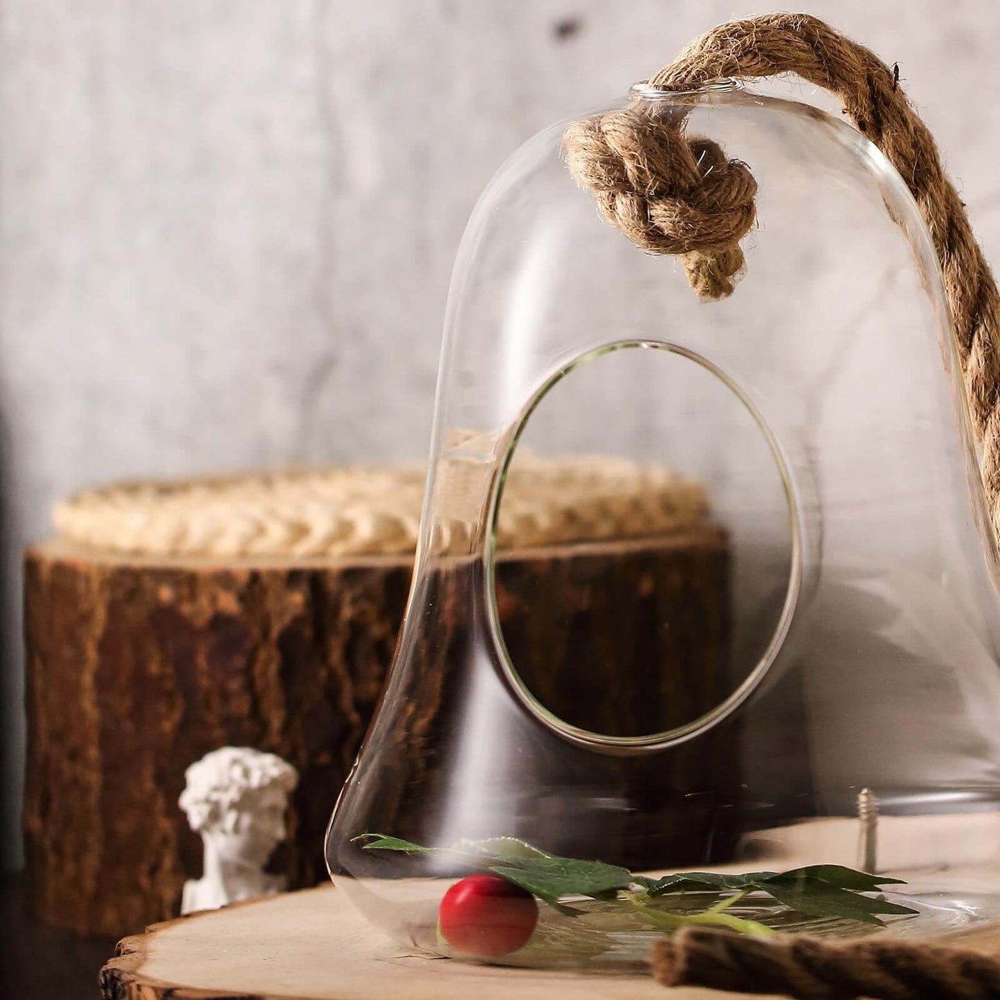 Glass Terrarium Hanging Bell Shaped Design with Twine Rope - Unique Free - Falling Planter for Air Plants & Displays 9" - Linen Luxes