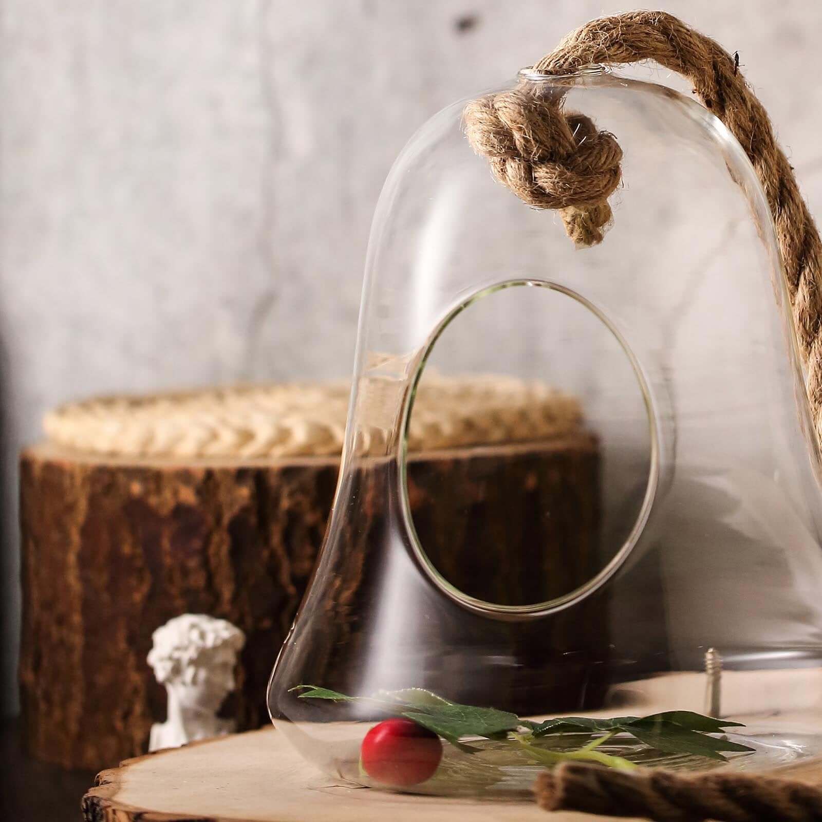 Glass Terrarium Hanging Bell Shaped Design with Twine Rope - Unique Free - Falling Planter for Air Plants & Displays 9" - Linen Luxes