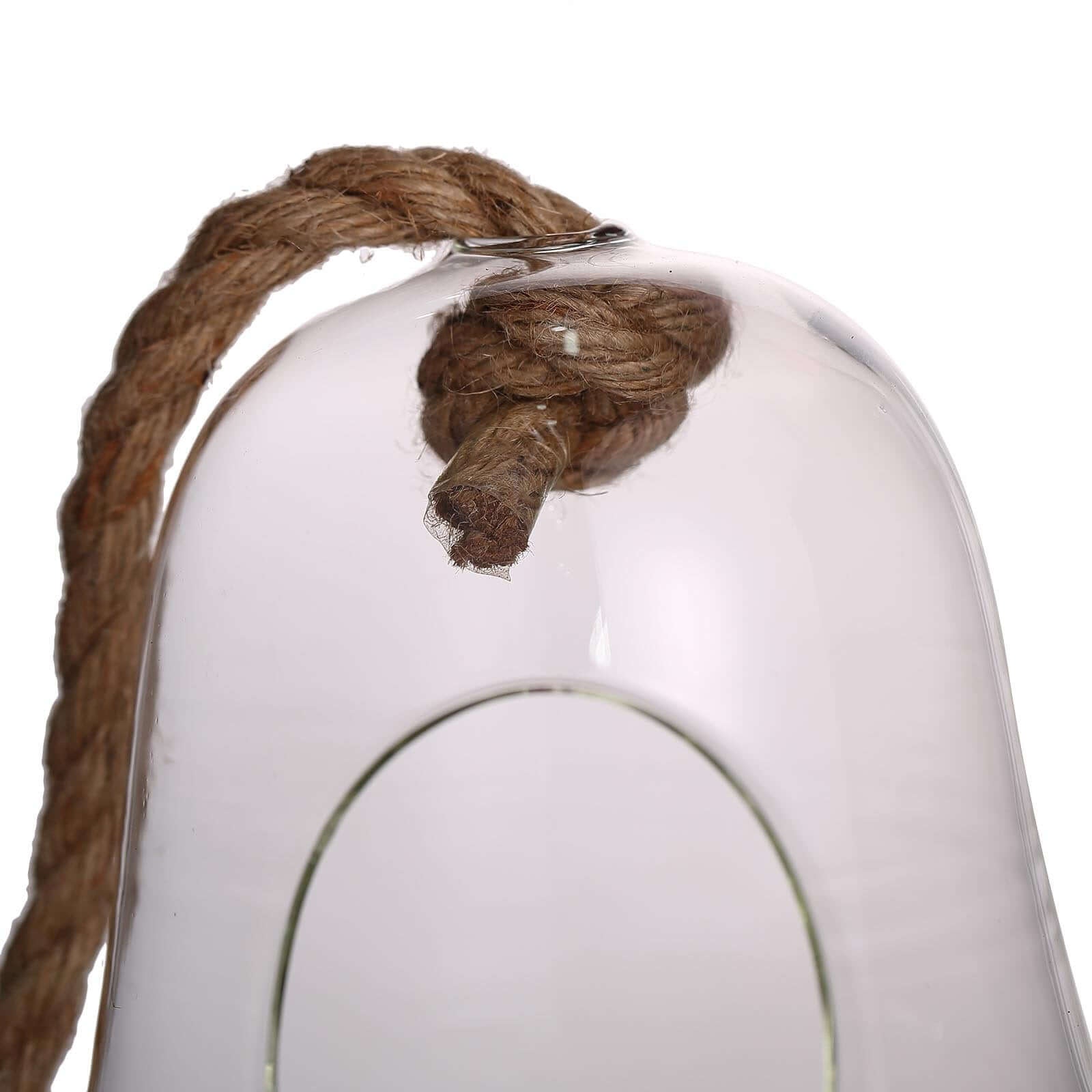 Glass Terrarium Hanging Bell Shaped Design with Twine Rope - Unique Free - Falling Planter for Air Plants & Displays 9" - Linen Luxes