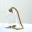 Glass Terrarium Hanging Bell Shaped Design with Twine Rope - Unique Free - Falling Planter for Air Plants & Displays 9" - Linen Luxes