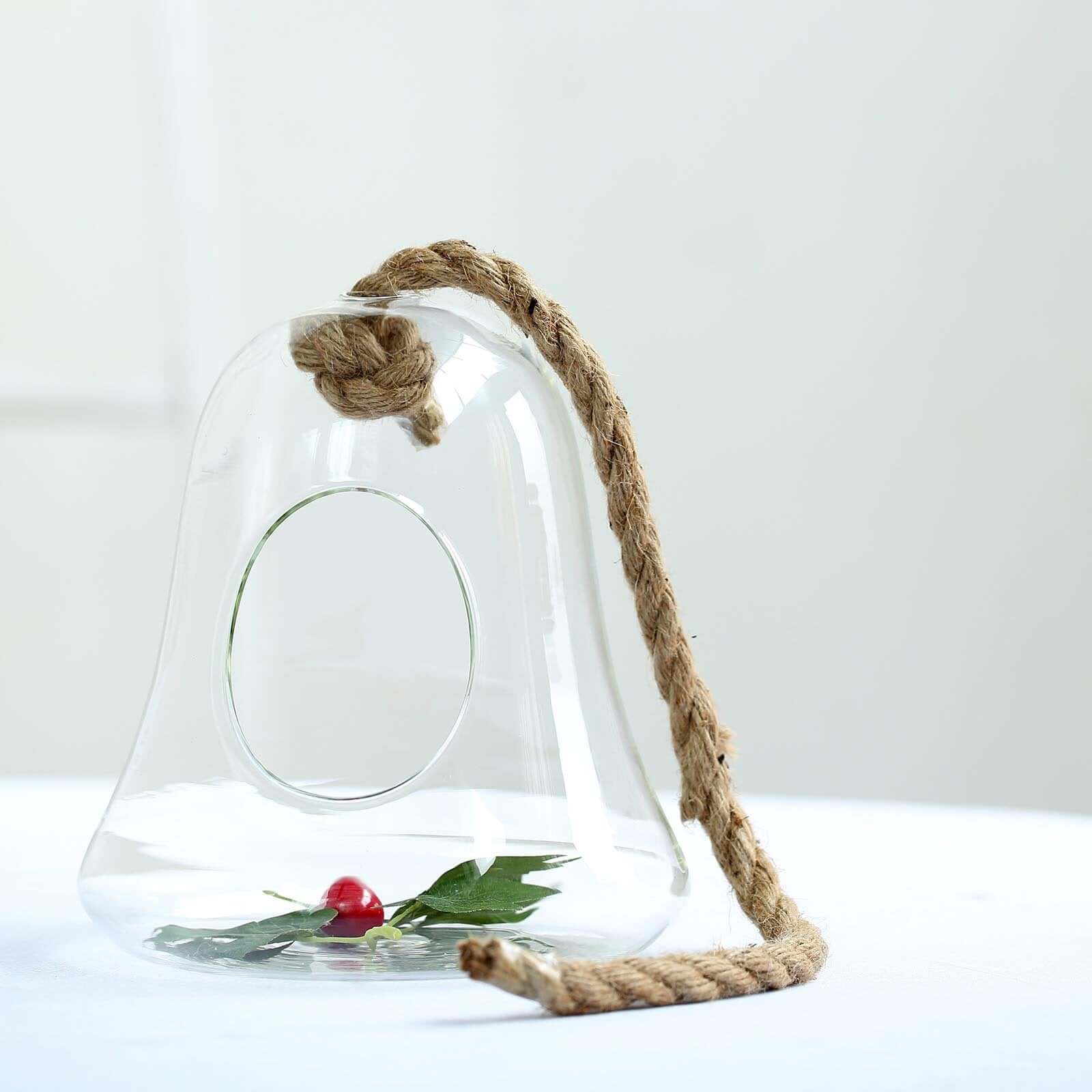 Glass Terrarium Hanging Bell Shaped Design with Twine Rope - Unique Free - Falling Planter for Air Plants & Displays 9" - Linen Luxes