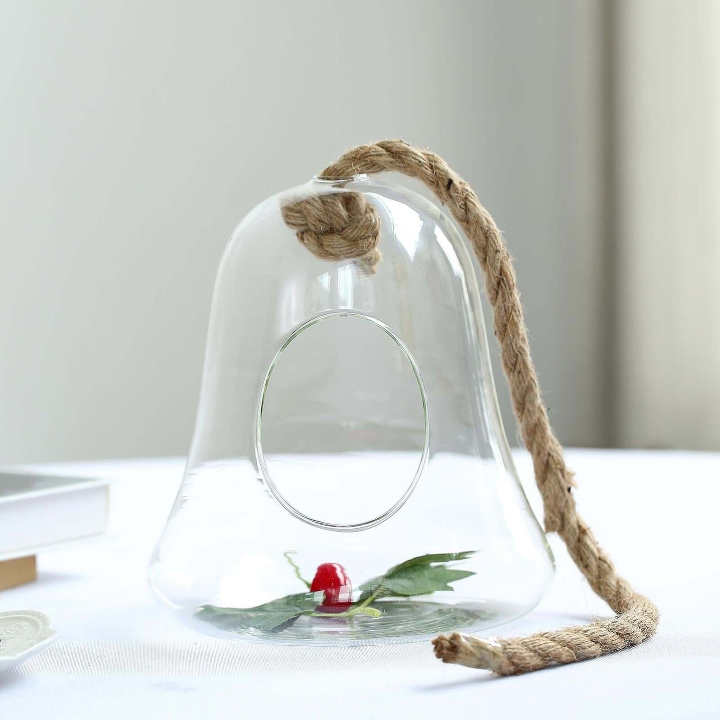 Glass Terrarium Hanging Bell Shaped Design with Twine Rope - Unique Free - Falling Planter for Air Plants & Displays 9" - Linen Luxes