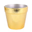 6 Pack 3" Gold Plastic Party Favor Bucket-Containers, Mini Succulent Nursery Planters, Flower Pot Crafts