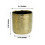 2-Pack Flower Plant Pots Textured Round Design Metallic Gold - Ceramic Cylindrical Indoor Planters 5"
