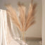 3 Stems Artificial Pampas Grass Decor Taupe - Soft Realistic Faux Ornamental Grass Branches for Rustic Boho Chic Backdrops Floral Styling & Vase Displays 44"