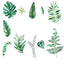 Green Tropical Assorted Leaves Wall Decals, Plant Peel Removable Stickers