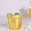 6 Pack 3" Gold Plastic Party Favor Bucket-Containers, Mini Succulent Nursery Planters, Flower Pot Crafts