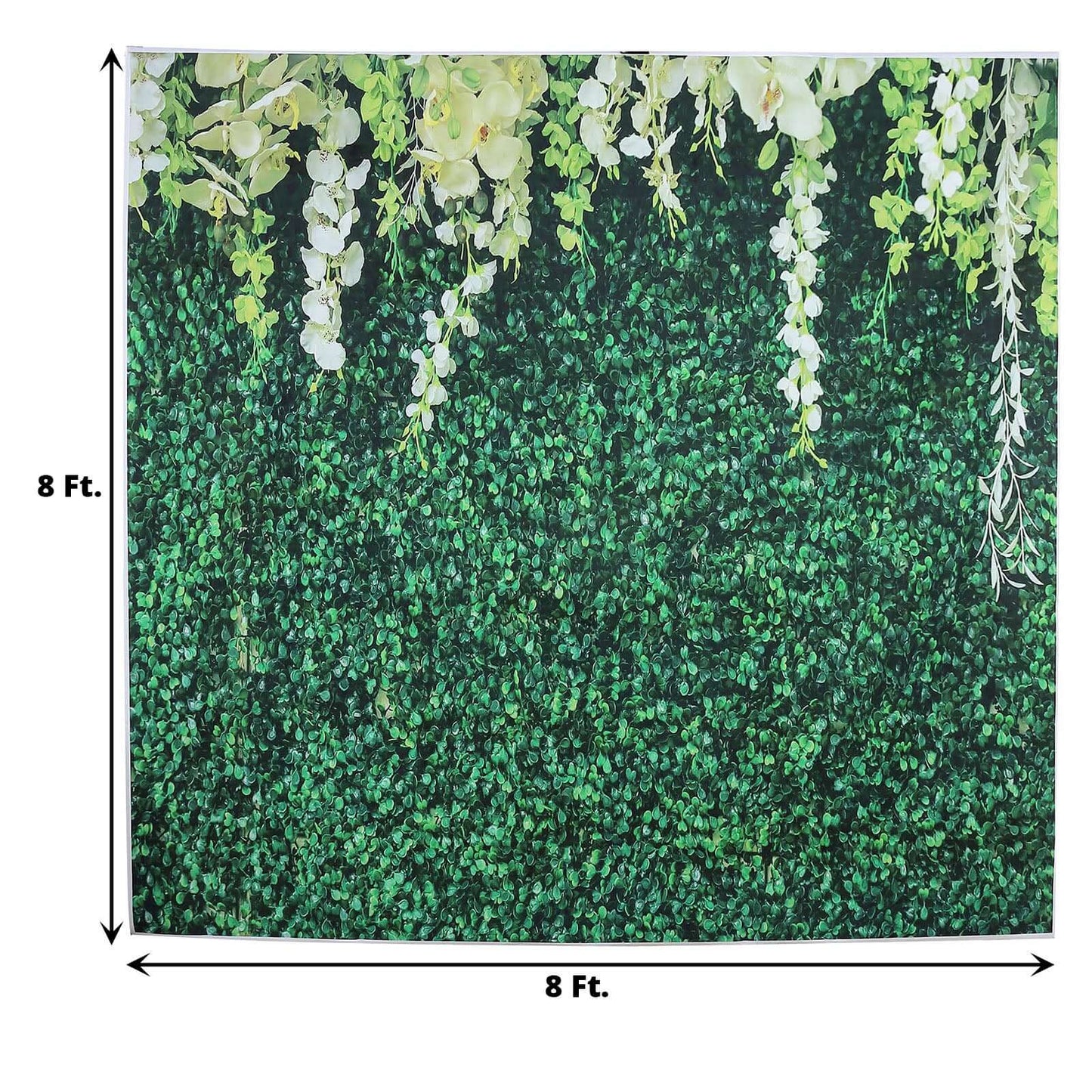 8ftx8ft Greenery Grass and Vines Print Vinyl Photo Shoot Backdrop