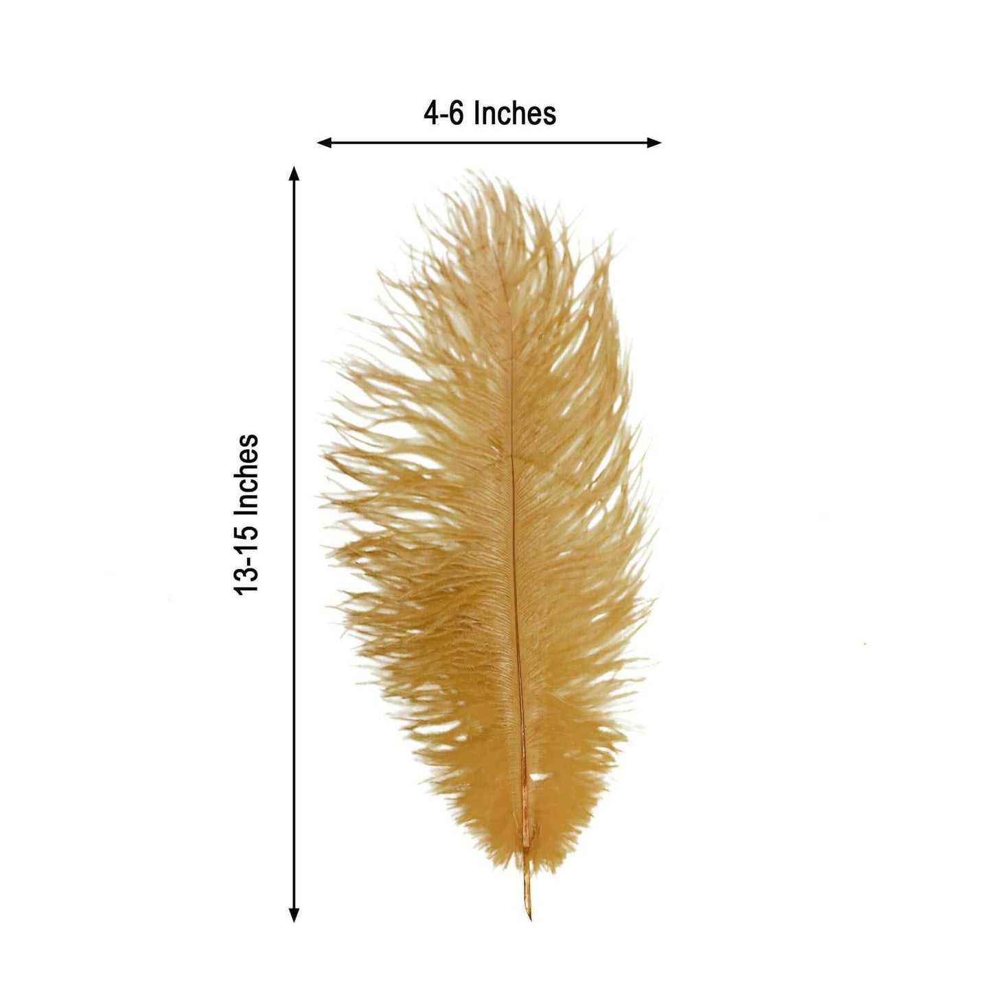 12 Pack 13"-15" Gold Natural Plume Real Ostrich Feathers, DIY Centerpiece Fillers