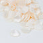 400-Pack Rose Petals Life-Like Flower Confetti Shiny Ivory Silk Round - Perfect for Event Tables 2"