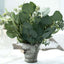 14 Stems Real Touch 12" Artificial Eucalyptus Leaf Flower Bouquet, Faux Silver Dollar Branches, Vase Floral Arrangement