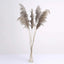 6 Stems Natural Dried Pampas Grass Decor Natural Tint - Versatile Plant Sprays for Boho Chic Vase Displays Backdrops & Event Styling 32"