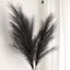 3 Stems Artificial Pampas Grass Decor Black - Soft Realistic Faux Ornamental Grass Branches for Rustic Boho Chic Backdrops Floral Styling & Vase Displays 44"