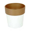 3-Pack Flower Plant Pots Small Design White with Gold Rim - Plastic Indoor Decorative Planters 3"