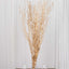 6-Pack Natural Birch Tree Branches 46" Metallic Gold - Versatile Extra Long Decorative Dried Willow Twigs Sticks for Vase Centerpiece Wedding Decor