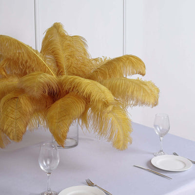 12 Pack Gold Natural Plume Ostrich Feathers Centerpiece Filler - 24"-26"