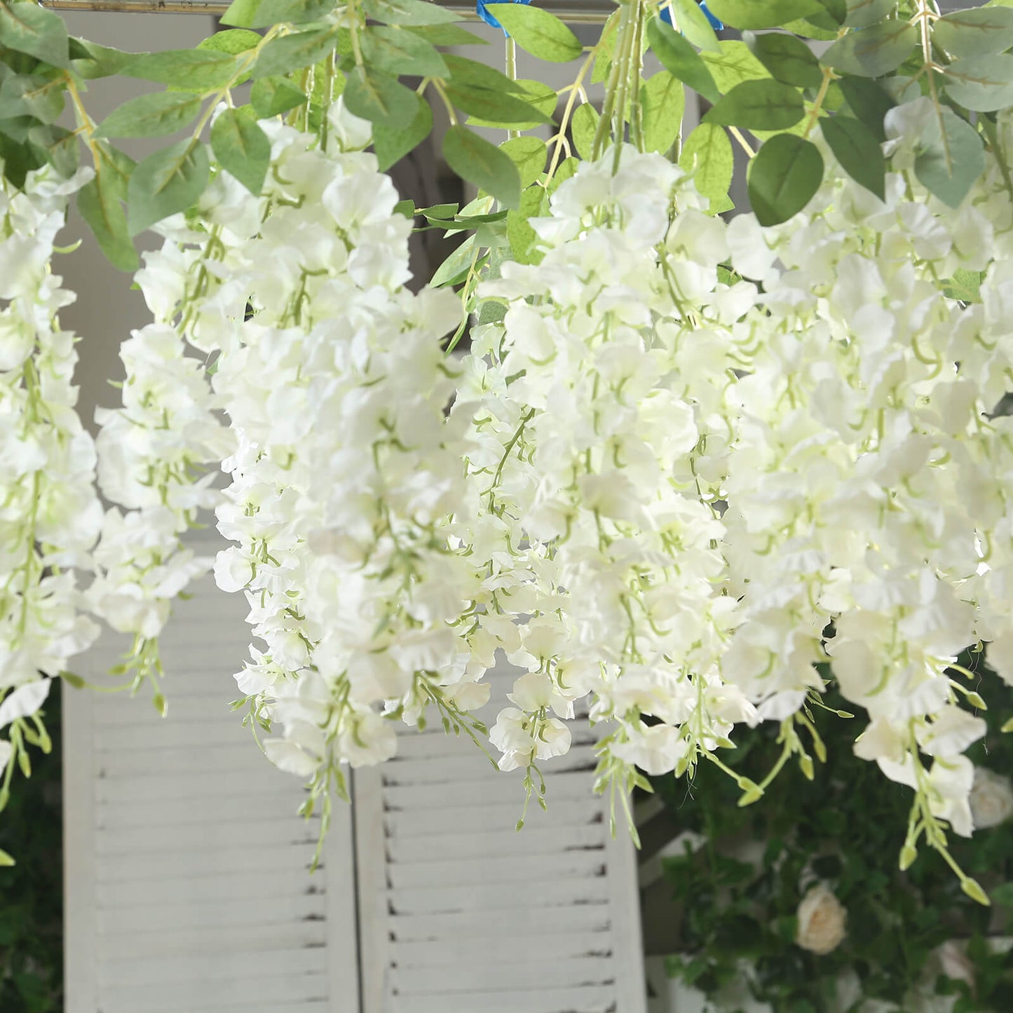 6 Pack Cream Silk Wisteria Vines Hanging Plants, Long Artificial Flowers Bushes - 4 Full Strands in 1 Bush - 21"