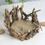 Natural Wooden Candle Holder Centerpiece - Rustic Mini Flower Vase for Events & Tables 6" - Linen Luxes