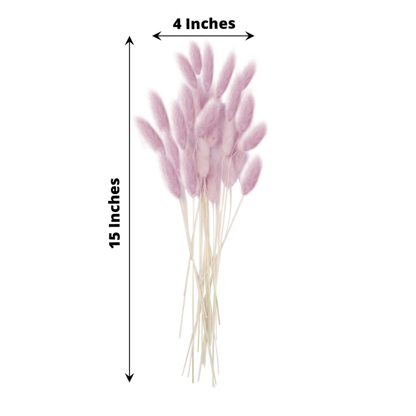 50-Pack Dried Bunny Tail Grass Lavender Lilac - Rustic Chic Lagurus Ovatus Rabbit Tail Ornamental Grass for Modern Farmhouse Decor Event Styling & Floral Displays 15"