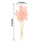 50-Pack Dried Bunny Tail Grass Blush - Rustic Chic Lagurus Ovatus Rabbit Tail Ornamental Grass for Modern Farmhouse Decor Event Styling & Floral Displays 15"