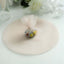 25 Pack 9" Beige Sheer Nylon Tulle Circles Favor Wrap Craft Fabric, DIY Candy Favor Wraps