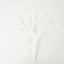 10-Pack Artificial Manzanita Tree Branch White for Vase Filler Home Wedding Centerpiece Ornament 14"