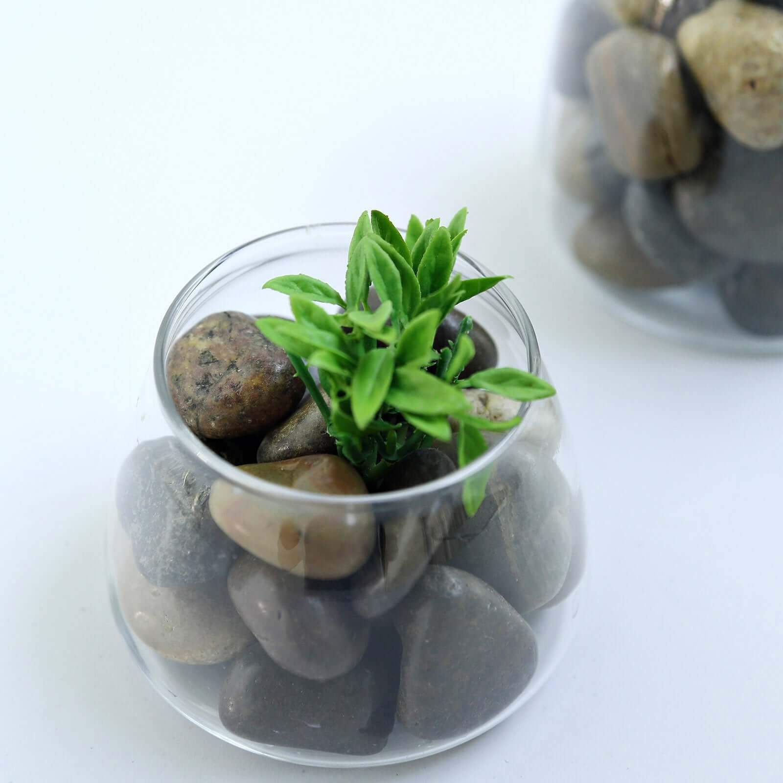 Polished Decorative Stones Natural Assorted Design - Ideal Vase Fillers, Landscaping, and Aquarium Use 2Lb - Linen Luxes