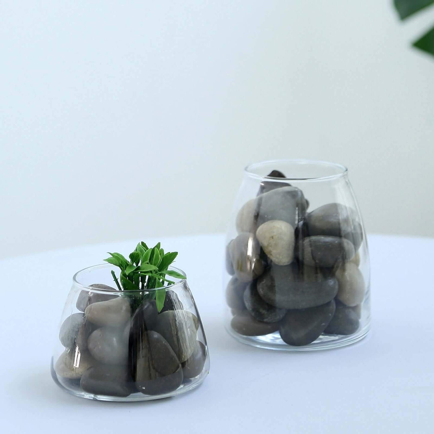 Polished Decorative Stones Natural Assorted Design - Ideal Vase Fillers, Landscaping, and Aquarium Use 2Lb - Linen Luxes