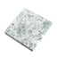 20-Pack Paper Cocktail Napkins with French Toile Print White/Sage Green - Disposable 2 Ply Beverage Napkins for Events 6.5"x6.5"