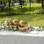 2-Pack Gazing Globe Mirror Ball Reflective Hollow Stainless Steel Gold Spheres - Decorative Outdoor Garden Display 12"