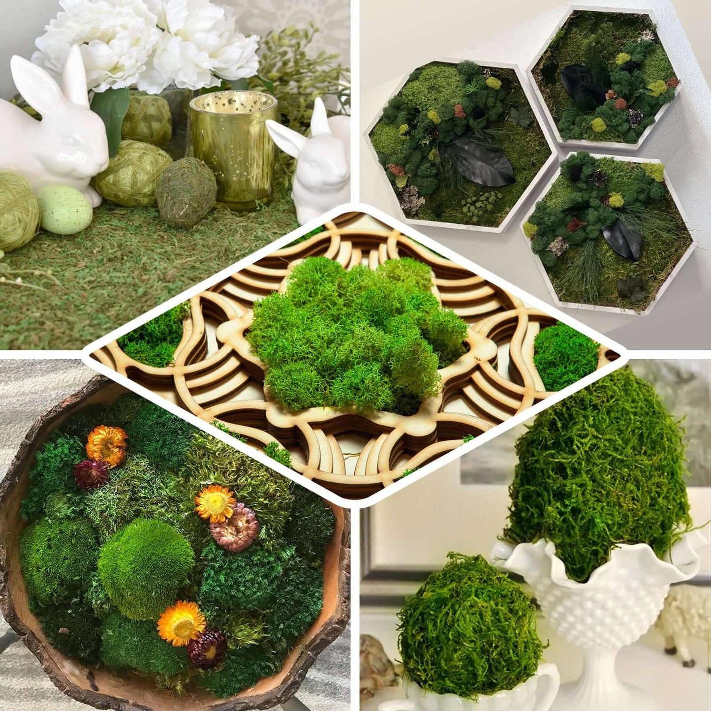 Reindeer Moss Grass DIY Craft Supplies Preserved Green - Decorative Moss for Projects 50g - Linen Luxes