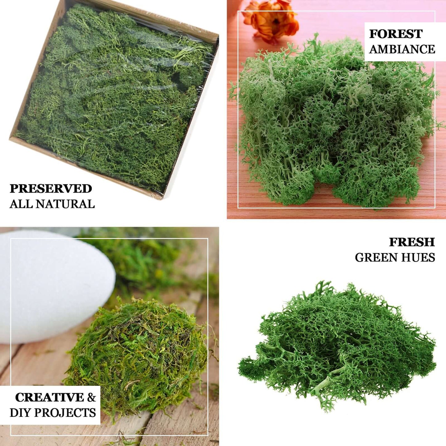 Reindeer Moss Grass DIY Craft Supplies Preserved Green - Decorative Moss for Projects 50g - Linen Luxes
