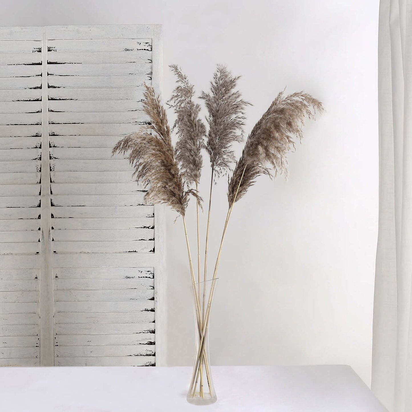 6 Stems Natural Dried Pampas Grass Decor Natural Tint - Versatile Plant Sprays for Boho Chic Vase Displays Backdrops & Event Styling 32"