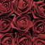 24 Roses 2" Red Artificial Foam Flowers With Stem Wire and Leaves