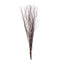 6-Pack Natural Birch Tree Branches 46" Natural - Versatile Extra Long Decorative Dried Willow Twigs Sticks for Vase Centerpiece Wedding Decor