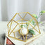 Set of 2 Candle Holders Metal Hexagon Geometric Design Gold - Modern Decorative Centerpieces for Tables 4"x3" - Linen Luxes