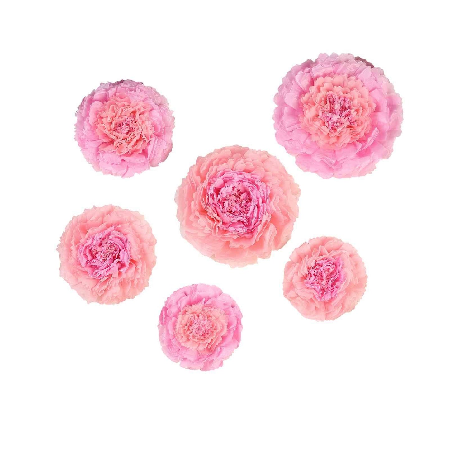 Set of 6 Blush Pink Carnation 3D Paper Flowers Wall Decor - 7",9",11" - Linen Luxes