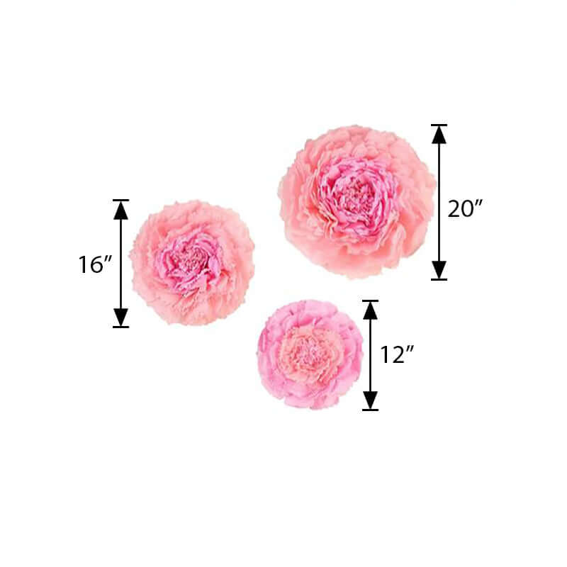 Set of 6 Blush Pink Giant Carnation 3D Paper Flowers Wall Decor - 12",16",20" - Linen Luxes