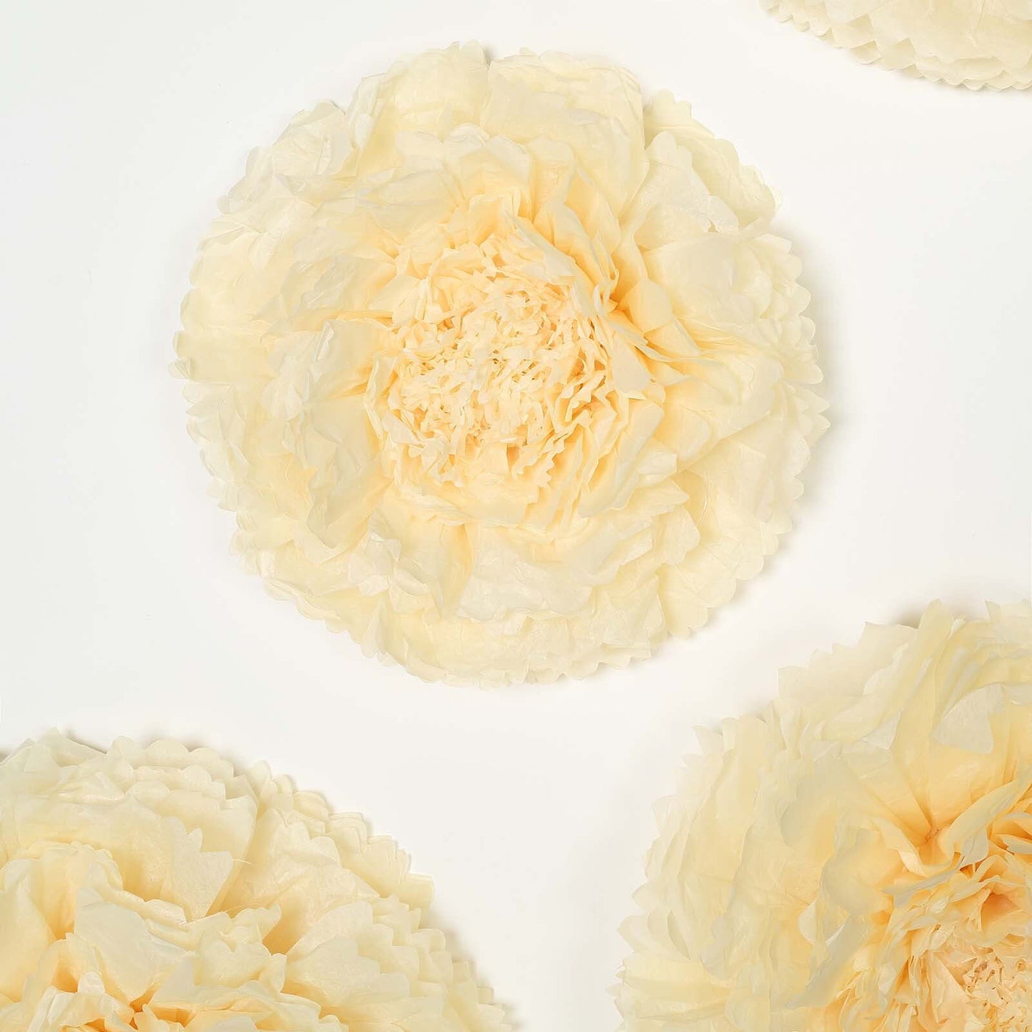 Set of 6 Ivory Cream Giant Carnation 3D Paper Flowers Wall Decor - 12",16",20" - Linen Luxes