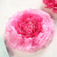 Set of 6 Pink Fuchsia Giant Carnation 3D Paper Flowers Wall Decor - 12",16",20" - Linen Luxes