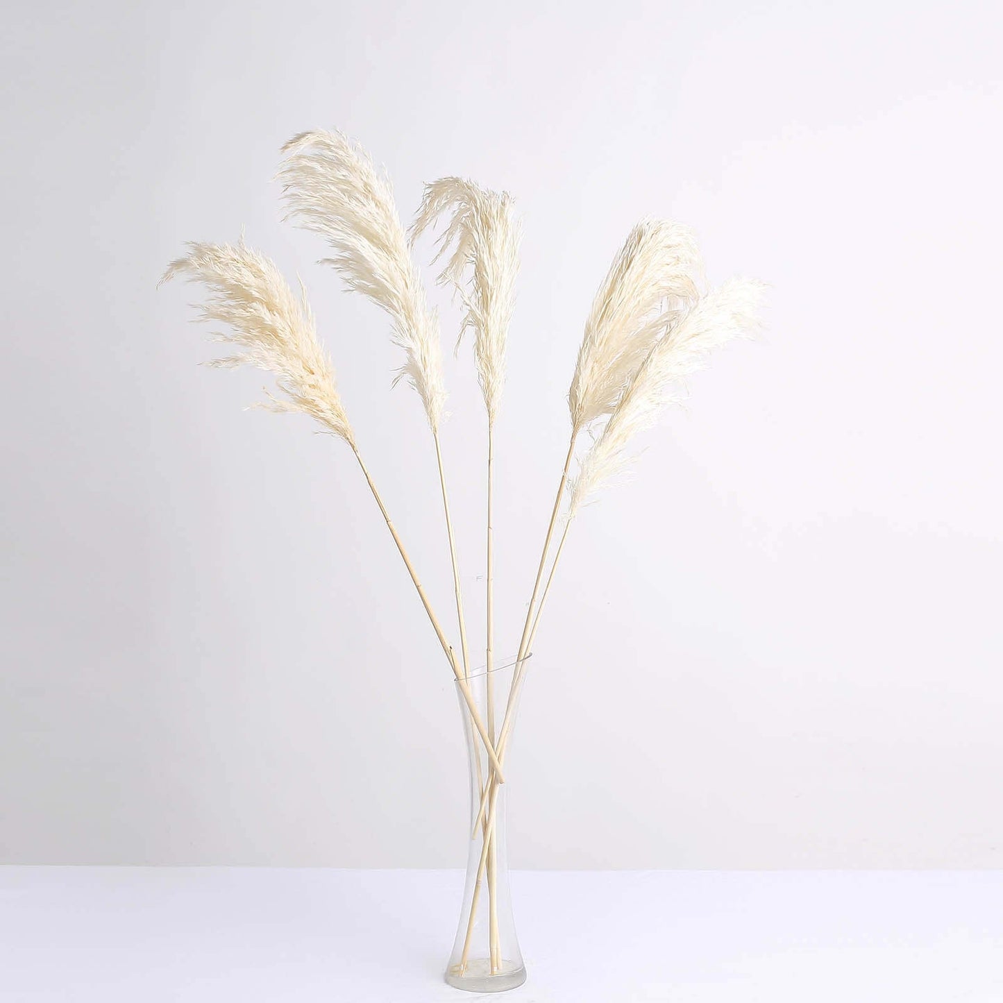 6 Stems Natural Dried Pampas Grass Decor Off White Tint - Versatile Plant Sprays for Boho Chic Vase Displays Backdrops & Event Styling 32"
