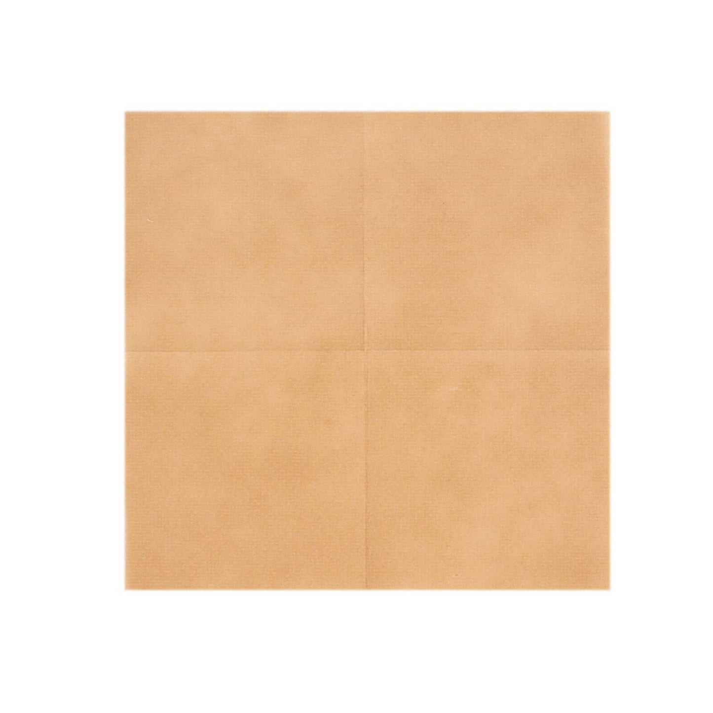 20 Pack Linen-Like Paper 5"x5" Napkins Terracotta (Rust) - Highly Absorbent Airlaid Napkins
