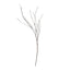 10-Pack Faux Willow Tree Branch Decor - Long Flexible Artificial Twig Stems for DIY Crafts Floral Bouquets & Event Decorations 37"