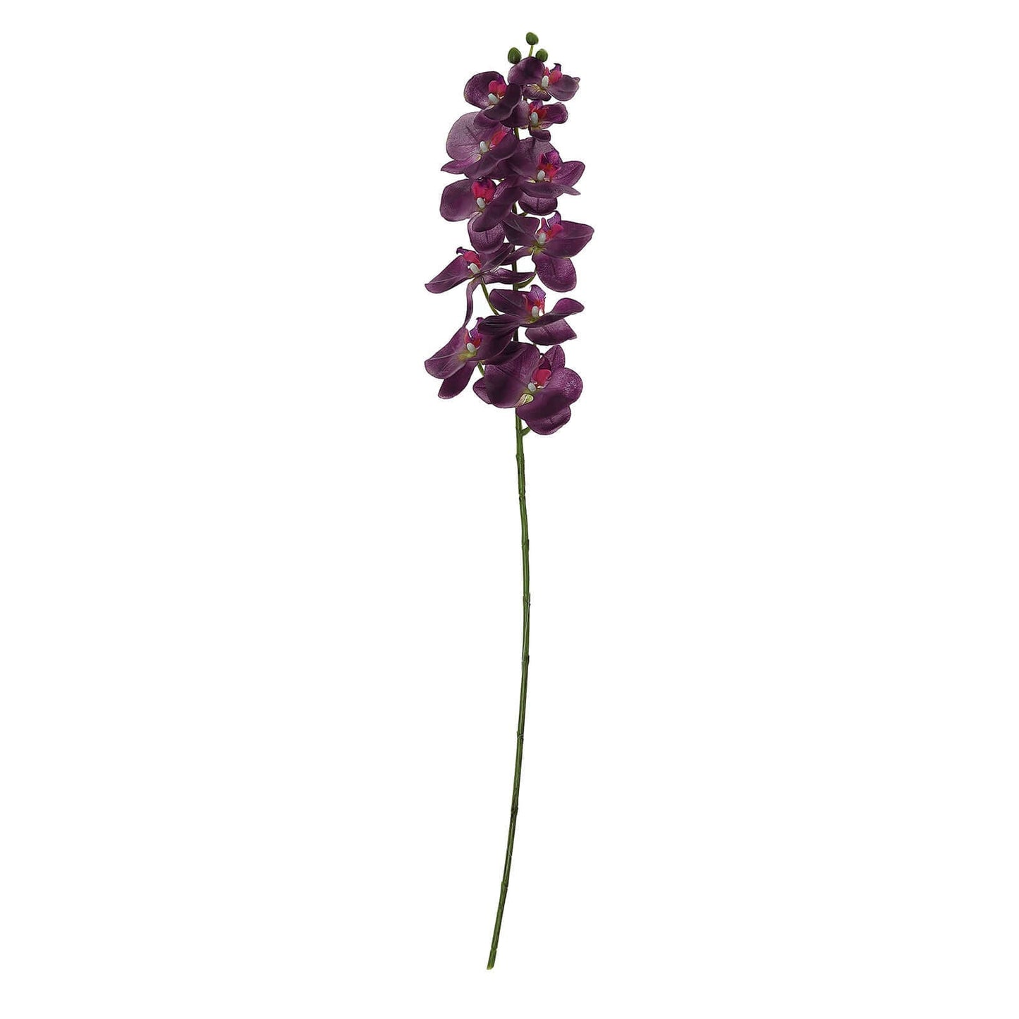 2 Stems 40" Tall Eggplant Artificial Silk Orchid Flower Bouquets