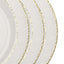 10-Pack Plastic 10" Round Dinner Plates in Clear Hammered Design with Gold Rim - Disposable Party Plates for Chic Banquets & Special Occasions