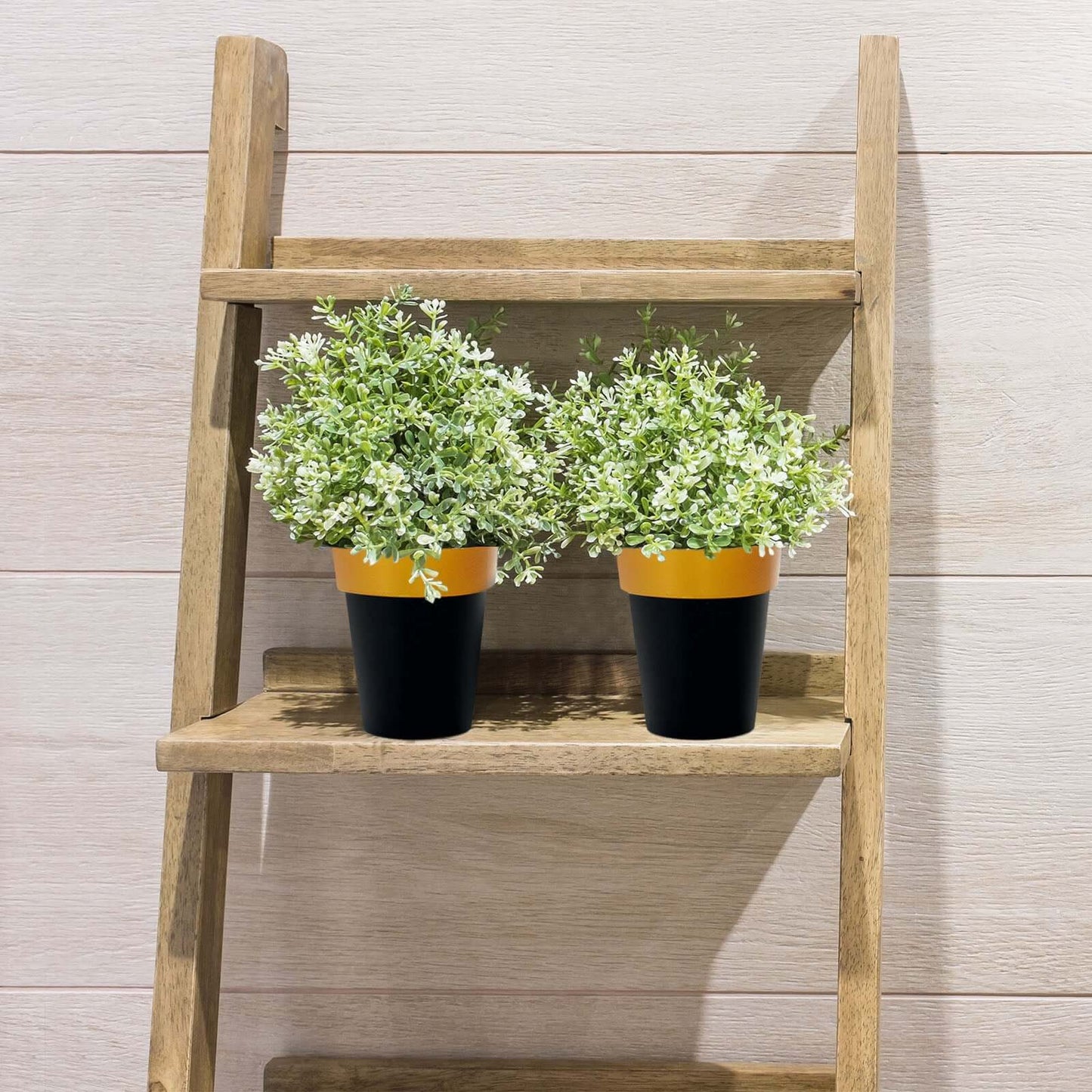 2-Pack Flower Plant Pots Medium Design Black with Gold Rim - Plastic Indoor Decorative Planters 6"