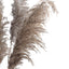 6 Stems Natural Dried Pampas Grass Decor Natural Tint - Versatile Plant Sprays for Boho Chic Vase Displays Backdrops & Event Styling 32"